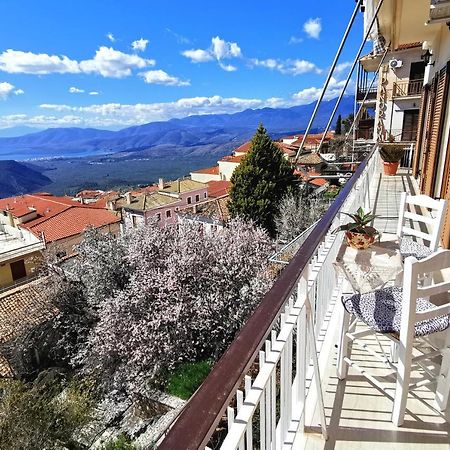 Appartamento Delphic Horizons Esterno foto